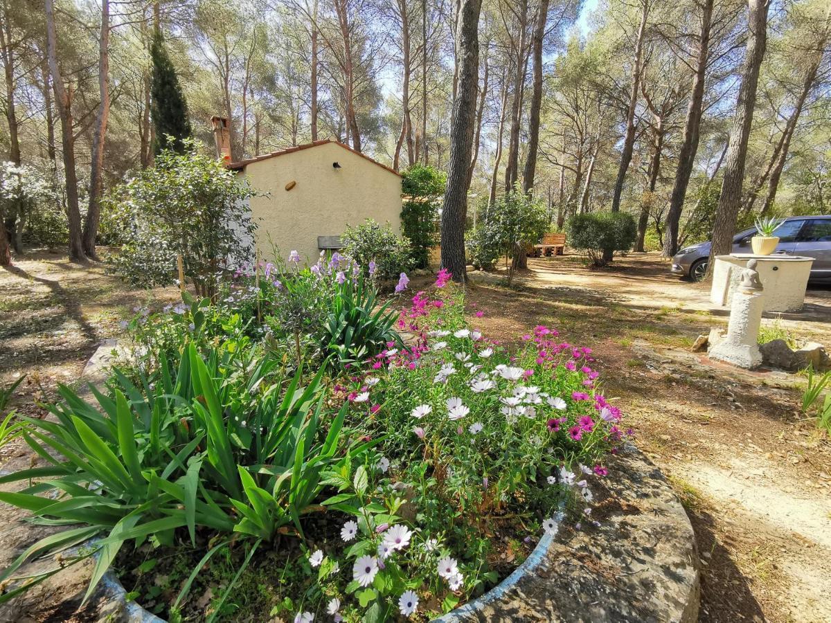 Maisonnette En Pleine Nature Le Beausset Dış mekan fotoğraf